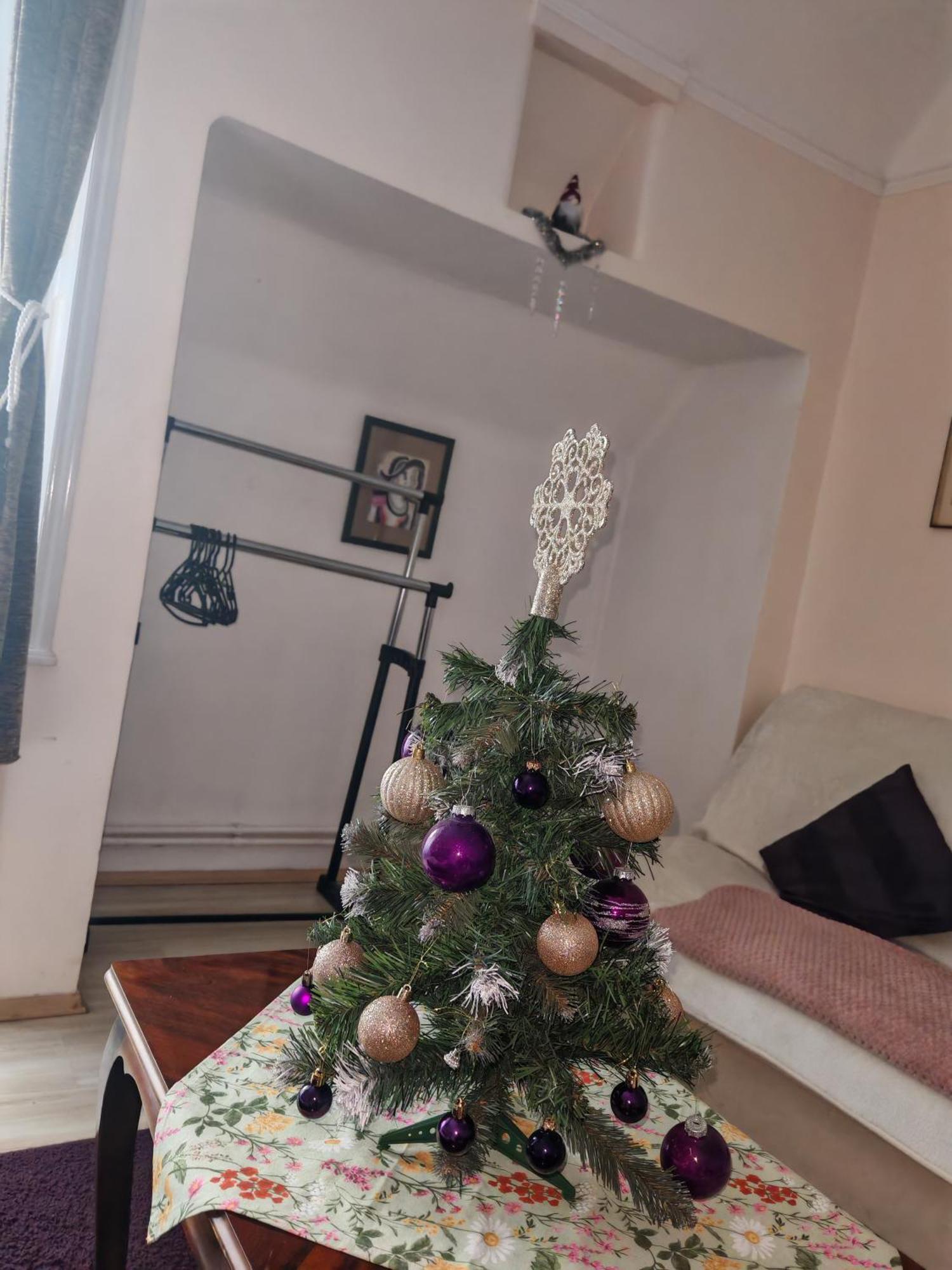 Rakoczi Guesthouse Miskolc Ngoại thất bức ảnh